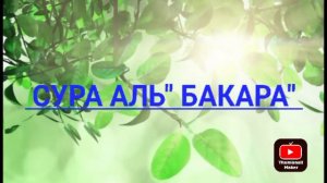 Сура АЛЬ-БАКАРА (СУРА КОРОВА) ОТ СГЛАЗА,ОТ ПОРЧИ, ДЛЯ ОЧИЩЕНИЯ ДОМА