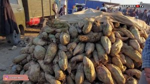 26.09.2022 / ТУРТКУЛЬ ЕМ ХАШАК НАРХЛАРИ