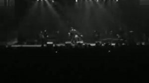 "Dominia" в Юбилейном (live)
