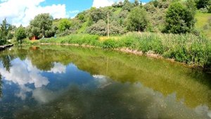 Покатушка на фэтбайке в карьер Толстяково(Рачий карьер)14 июня 2021 года.1 часть.