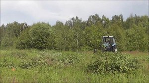 расчистка заросших полей Тверская область