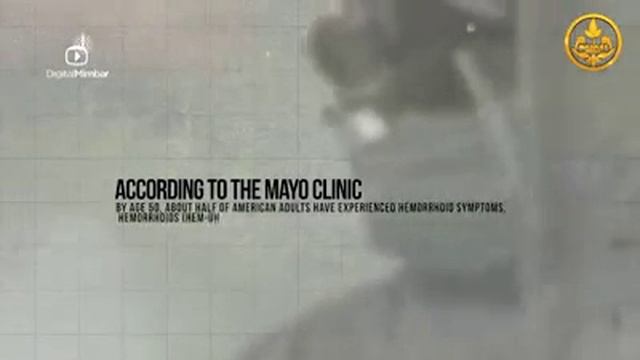 Как правильно пользоваться туалетом смотреть онлайн