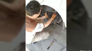 Замена задних стоек на Мазда 626