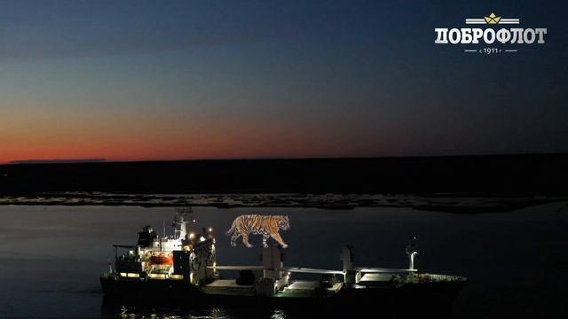 Тигры тоже любят рыбу. "Доброфлот" смотреть онлайн