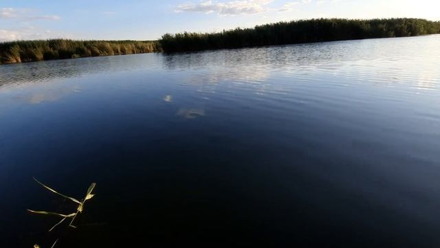 Август. Рыбалка на поплавок. Часть 4.