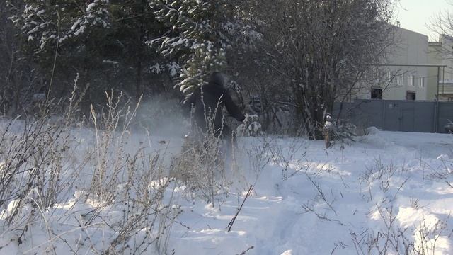 Мотобуксировщик Сигма-3 с рычажным лыжным модулем и реверсом. Обзор и покатушки.
