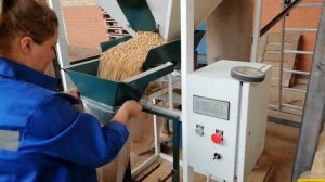 Производство пеллет (топливных гранул из древесины) 2019 год