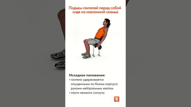 ? Подъем гантелей перед собой сидя на наклонной скамье