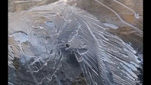 ЦВЕТНЫЕ МАРТОВСКИЕ СНЫ