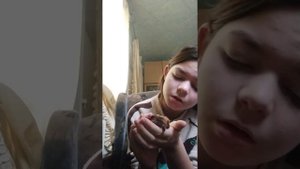 что делать если ваш хомяк впал в спячку