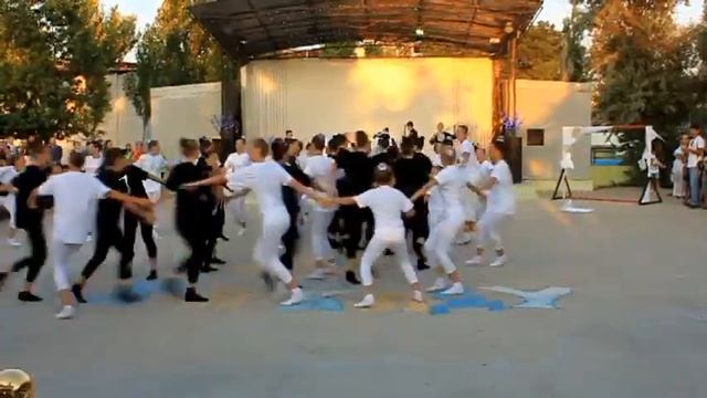 Бело черное Какаду смотреть онлайн