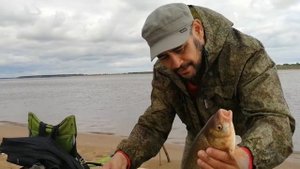 Поймал Язя на фидер.Река Обь.Оснастка Running rig