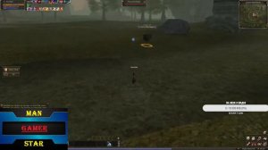 Lineage 2 REBORN , гайд, кем стартануть, как правильно развиться, все о сервере