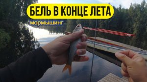 #мормышинг | Бель в конце лета |