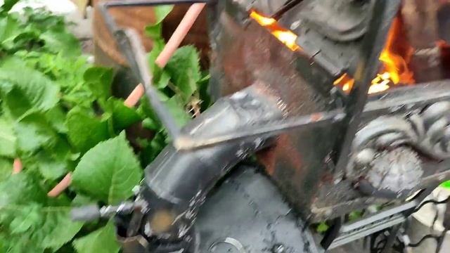 копчение на плакучей иве смотреть онлайн