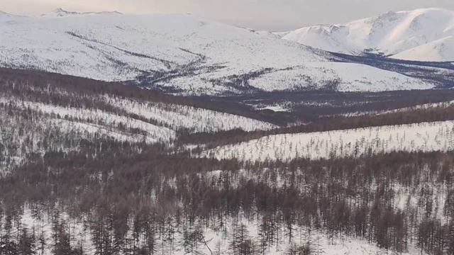 Прыжки и Вилли задних колес на снегоходах Polaris 850, Boondocker 850 и Arctic Cat Alpha One в -27 смотреть онлайн