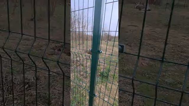 Установка 3D забора смотреть онлайн