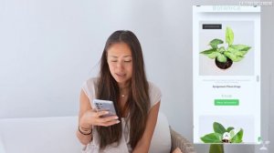 ONLINE PFLANZEN Shopping in neuen Stores 😱🌱| Aroids, Hoyas und Syngonien ❤️