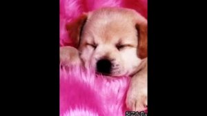 гр Заплатки Согрешила