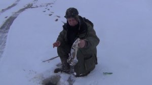 Ловля налима на поставухи. Зимняя рыбалка на Рыбинском водохранилище.