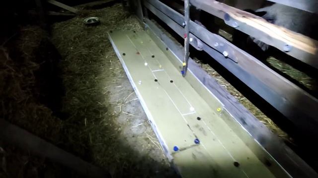 Дизайнерская кормушка для овец, просто, дёшево, роскошно смотреть онлайн