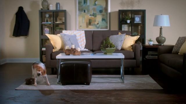 Shaw Floorte Vinyl Flooring - YouTube смотреть онлайн