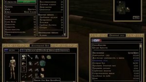 Morrowind 121 Топ 5 Простых и полезных секретов Халява Деньги Трофеи Души Оружие