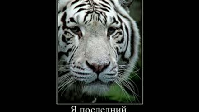 Современное общество