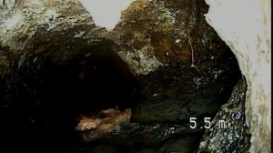 Видеодиагностика канализации - проникаем в сердце засора