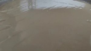 Варим сыр дома.Как приготовить качотту.Очень просто.Про пастеризацию.