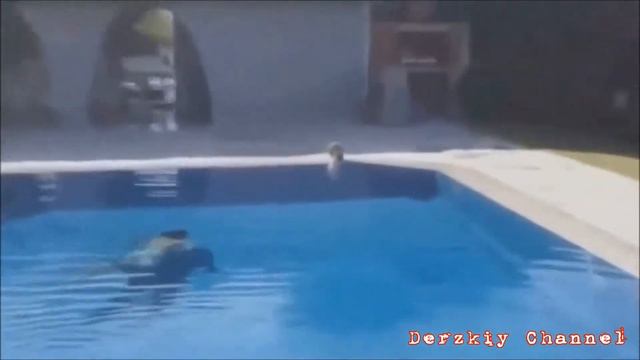 Видео полный ржачь!!!! смотреть онлайн