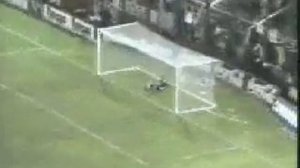 goal di chilavert