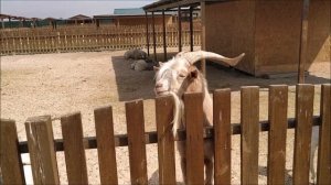 Геническ, Арабатская стрелка, Стрелковое | Отдых в Украине | Розовое озеро