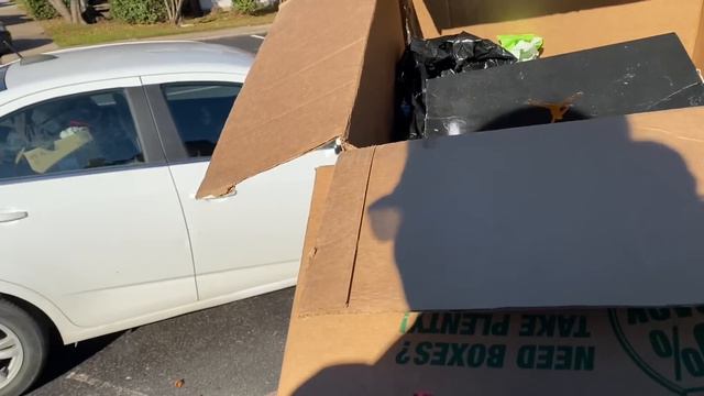 How Much Can I Save from the Landfill in 1.5 Hours?! Let's Find Out! смотреть онлайн