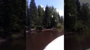 рыбалка на кеми