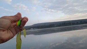 Рыбалка на реке Томь в Кемерово, Чайка