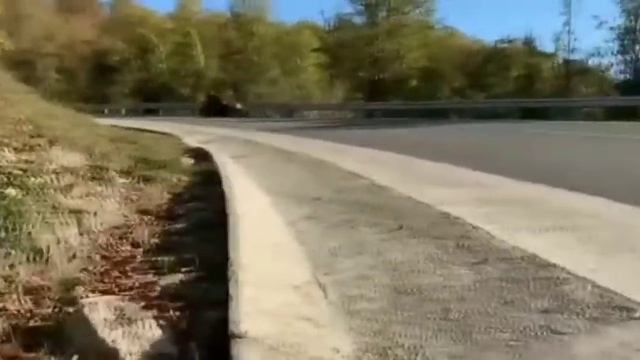 Все падение Diablo R1 ?? Diablo в наших серцах ????