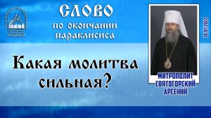 Какая молитва сильная? Слово митр. Арсения после параклисиса 10.07.2022 г.