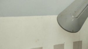 ЖЕЛТОБРЮХ ВЕРНУЛСЯ!