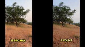 iPhone 15 Pro Max vs Z Fold 5 | Full Comparison