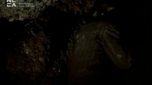 ԿԱՐՈՏ 1990 - Հայկական ֆիլմ / KAROT - Haykakan Film