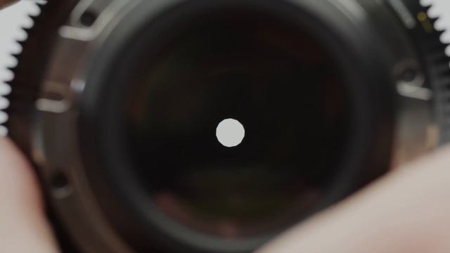 DZOFILM Vespid Prime Series | Review & Test Footage