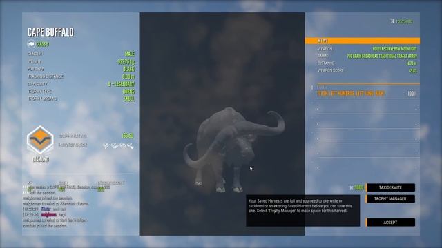 Hunting The 4 Biggest Species in the Game with the Recurve Bow! смотреть онлайн