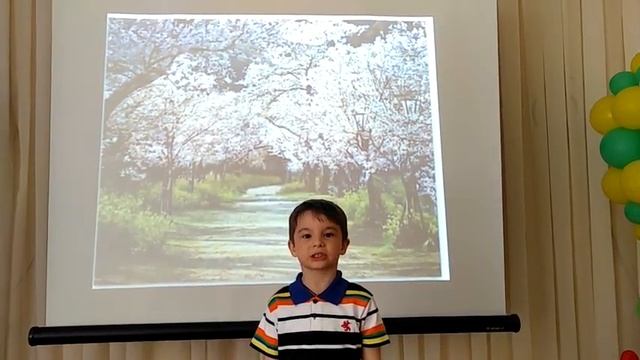 Страна читающая — Даниил Егоров читает отрывок из произведения «Зеленый шум» Н. А. Некрасова