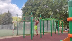 Подтягивания 50 раз