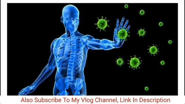 All Products In One Video | FLP | Forever Living Products @LetMeTasteNow  | Harmandeep Singh смотреть онлайн