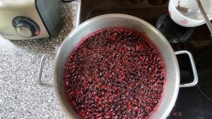 Желированное варенье пятиминутка из жимолости. Понравится даже тем, кто варенье не ест