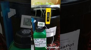 В чём прикол Азотной и Ортофосфорной кислоты в питательном растворе на гидропонике