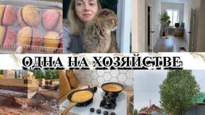 VLOG: ГРИБНОЙ СУП/СИЛЬНАЯ СЛАБОСТЬ/ПЕРВЫЕ БЛИНЫ/АНАЛИЗЫ