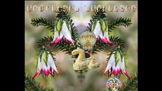 Narine todorova arpine смотреть онлайн